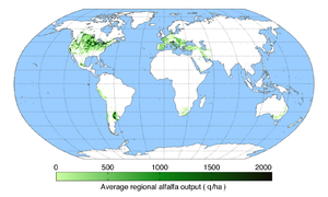 worldwide alfalfa production