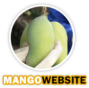 mango exporter pakistan